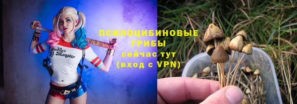 бошки Баксан