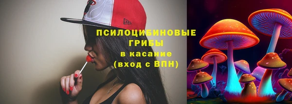 бошки Баксан