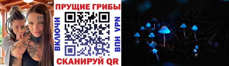 Псилоцибиновые грибы Magic Shrooms  Петрозаводск 